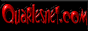 qnet.GIF (1411 bytes)