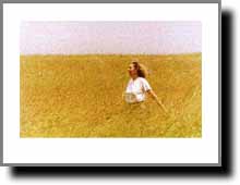 Click Here for Larger View