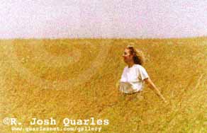 2d copy.jpg (11705 bytes)