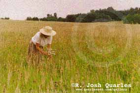 6b copy.jpg (12932 bytes)