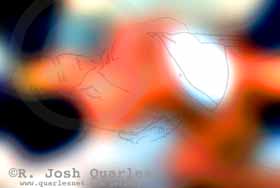 Untitled-9_copy.jpg (7526 bytes)