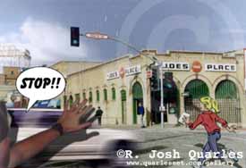 streetfin_copy.jpg (13992 bytes)