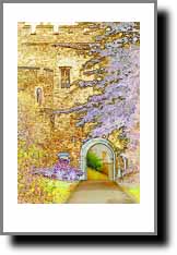 Click Here for Larger View