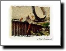 Click Here for Larger View