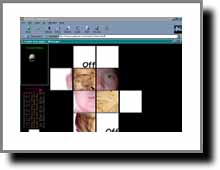 Web Specific Artwork