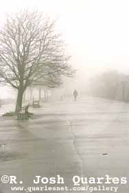 bbns12f9 copy.jpg (8803 bytes)